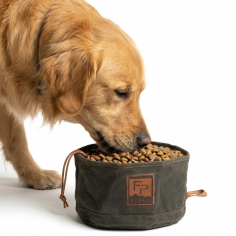 Bow Wow Travel Food Bowl