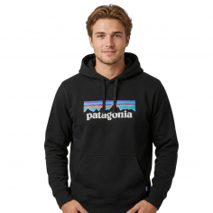 P-6 Logo Uprisal Hoody black