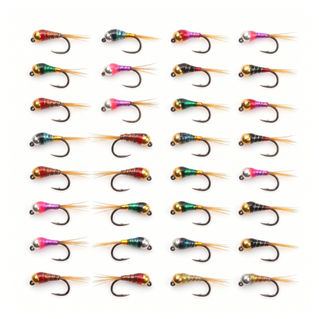 Kit Ninfas de Competición 32pzs