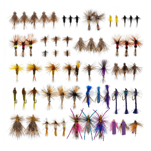 Dried mix kit - Attractive 48 units