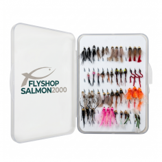 Kit Nymph mix - Tungsteno 48 uds