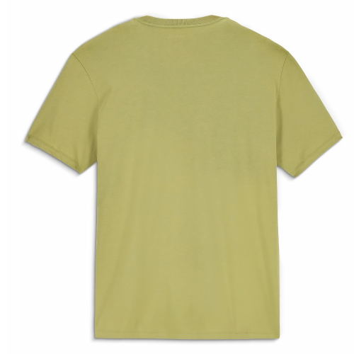 Men's Simms Logo T-Shirt Tent Green