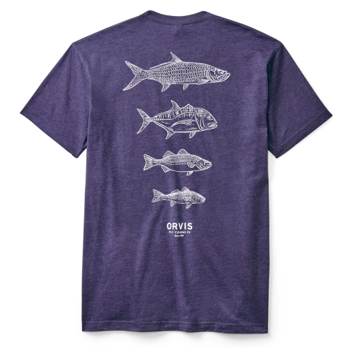 Men’s Saltwater Fish Graphic T-Shirt