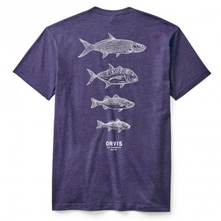 Men’s Saltwater Fish Graphic T-Shirt