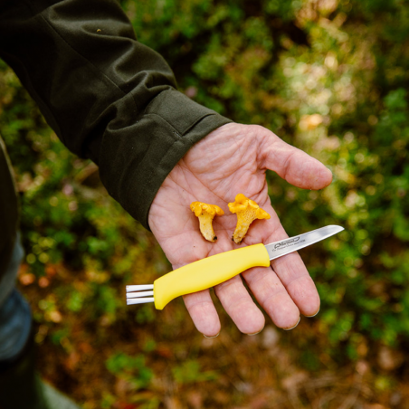 Mushroom Knife