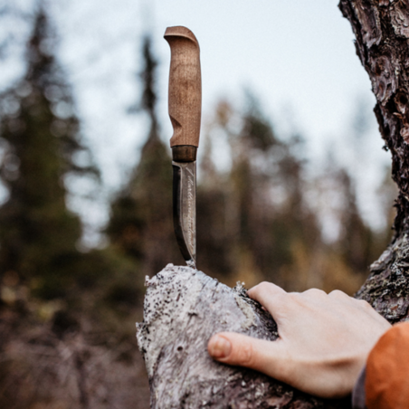 Lumberjack Carbon