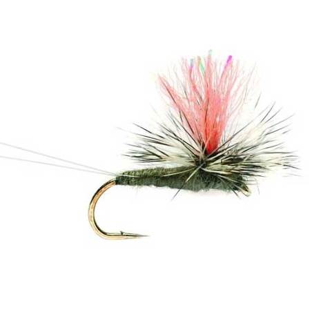 Mosca seca comprar
