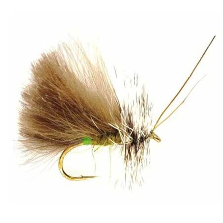 Mosca CDC