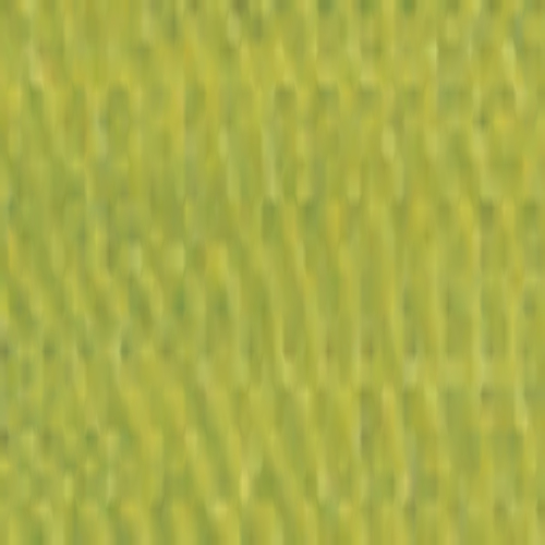 Rayon Madeira nº40 50m 1350
