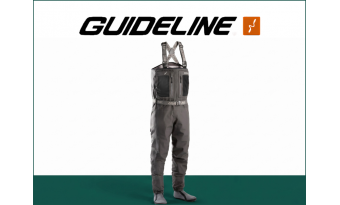 Guideline