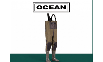 Ocean