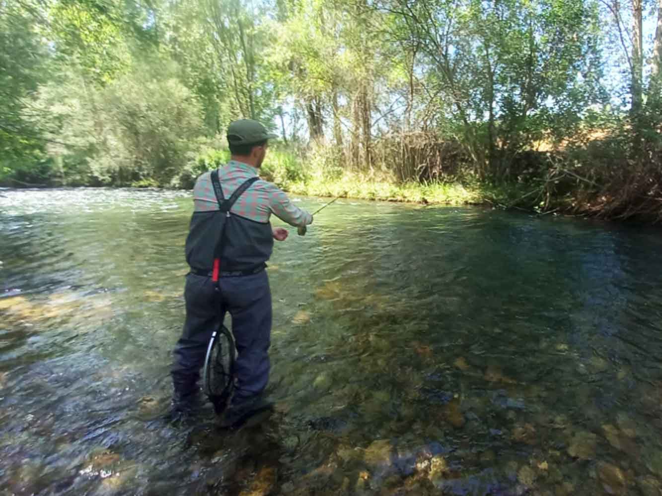 Pescando trucha