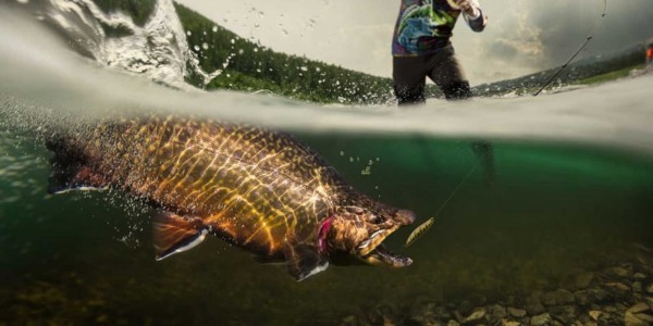 ¿CUÁLES SON LOS TIPOS DE PESCA MÁS COMUNES?